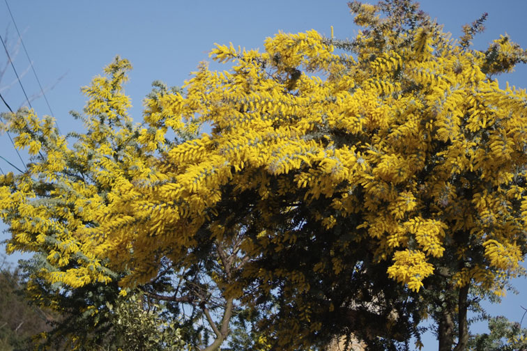 b0075541_231910100.jpg