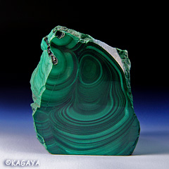 c0015041_4572795.jpg