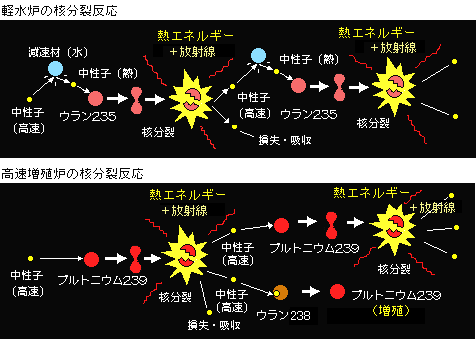 f0020352_128382.gif