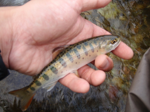 b0177355_21231821.jpg