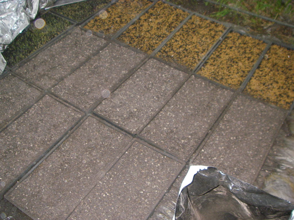 e0181260_20534787.jpg