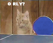 e0133362_23581468.gif