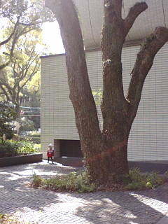 b0049463_22202819.jpg