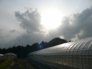 f0055264_20554994.jpg
