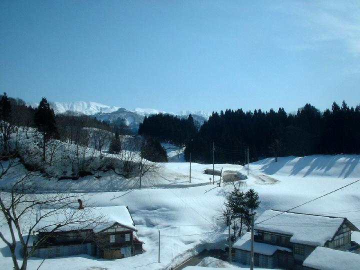 b0032167_45495.jpg
