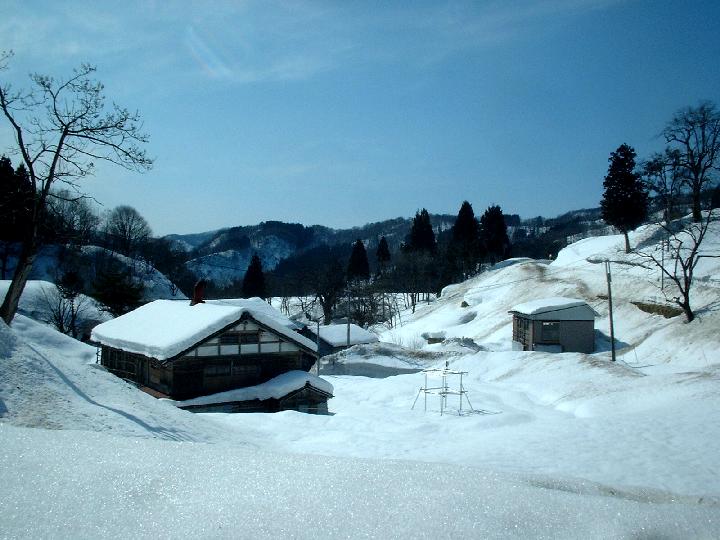 b0032167_46451.jpg