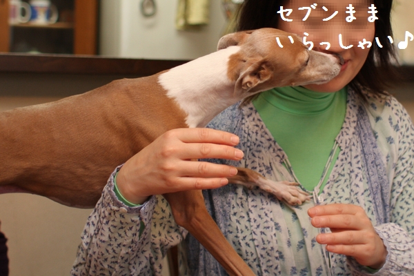 b0069169_12535441.jpg