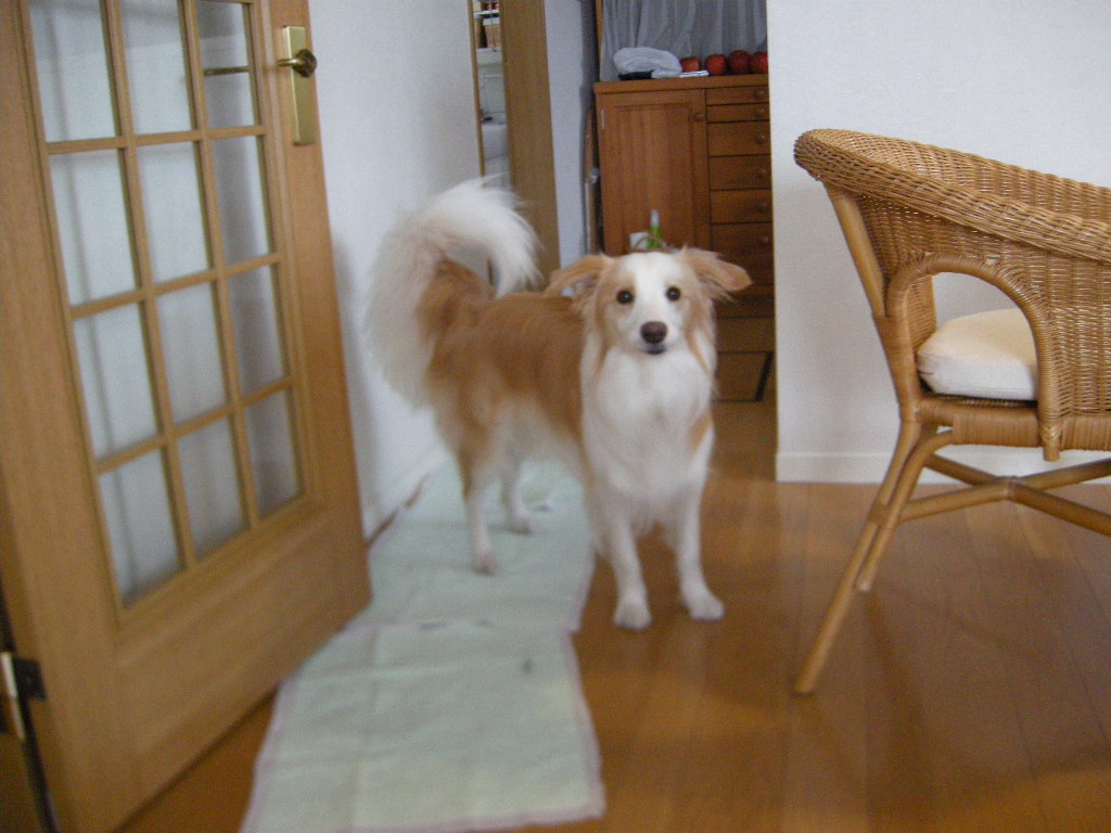 c0210571_21375591.jpg