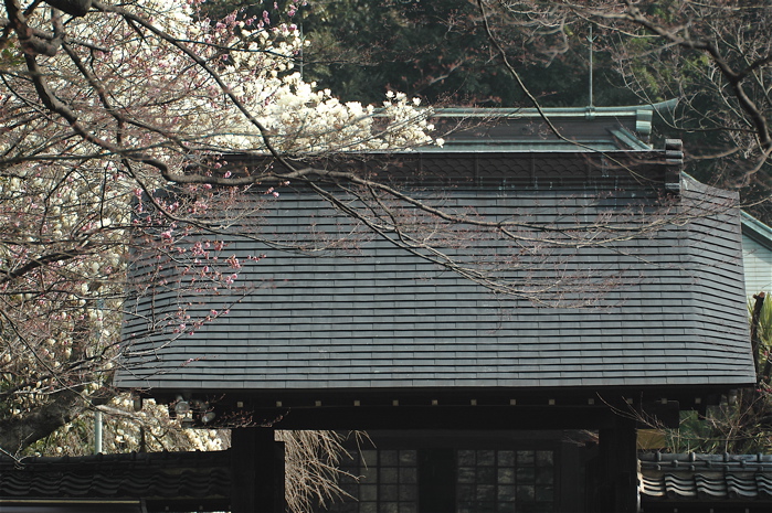 e0015377_17441954.jpg
