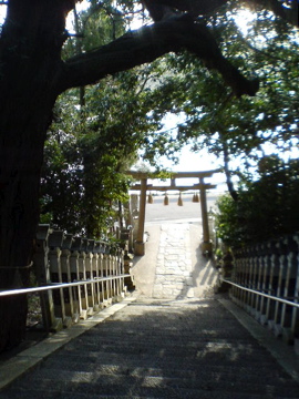 f0054677_84659100.jpg
