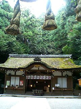 f0054677_849051.jpg