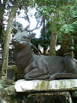 f0054677_8552611.jpg