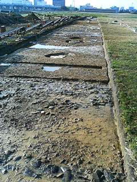 f0054677_855857.jpg