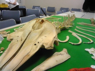 f0149083_16111397.jpg