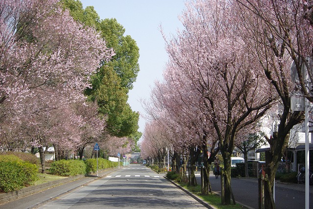 f0169884_1585440.jpg