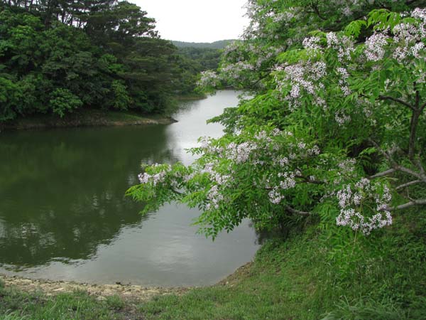 c0064389_2013297.jpg