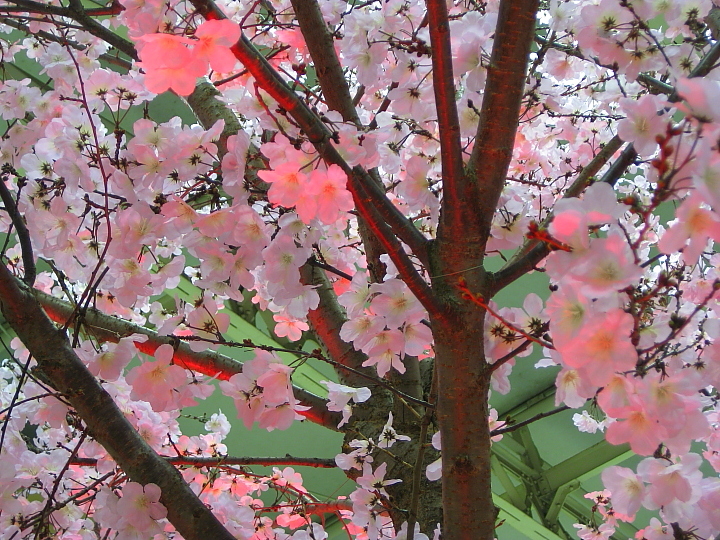 f0164989_6515732.jpg