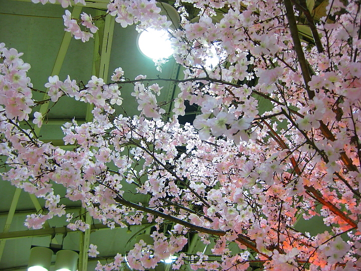 f0164989_6522035.jpg