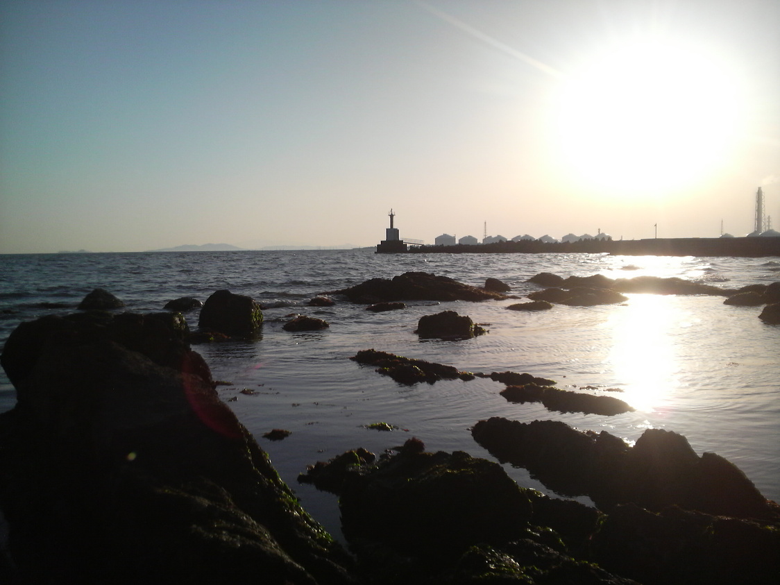 f0151094_1033812.jpg