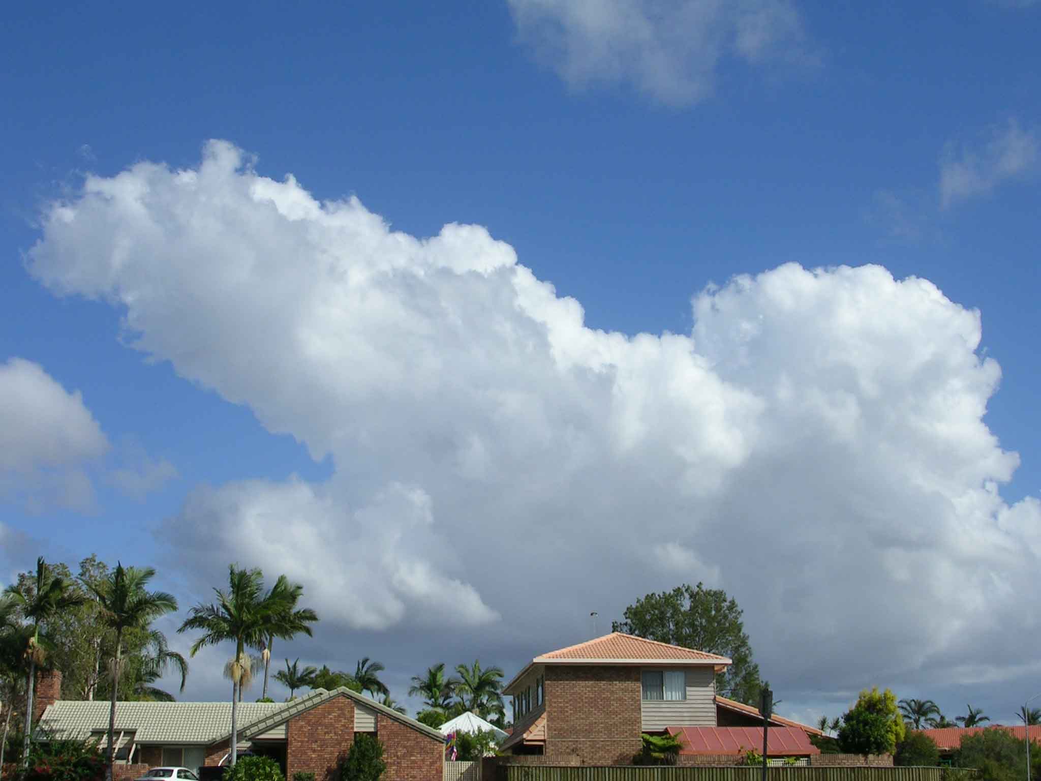 f0080096_18375192.jpg