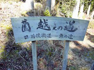 a0097298_22113651.jpg