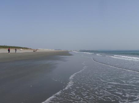 a0125598_238179.jpg