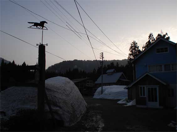 a0061599_6445318.jpg