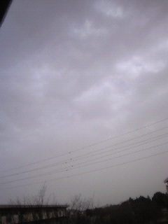 f0114900_1228520.jpg