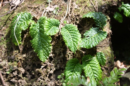 f0218002_751324.jpg