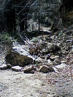 f0164503_17454081.jpg