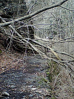 f0164503_17464850.jpg