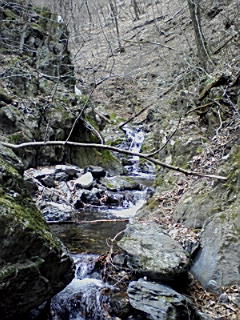 f0164503_18121268.jpg