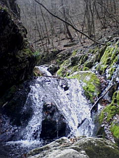 f0164503_1814239.jpg