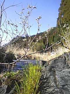 f0164503_18291875.jpg