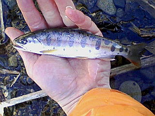 f0164503_1831280.jpg
