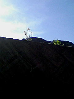 f0164503_18332275.jpg