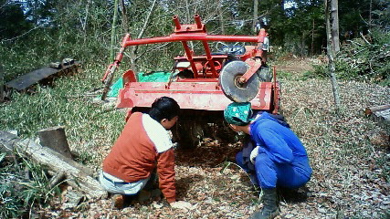 c0017505_126786.jpg