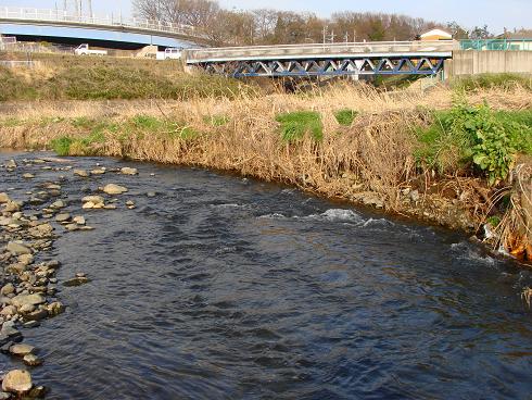 e0123808_235529.jpg