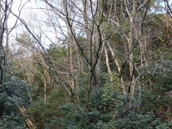 f0221708_17451564.jpg