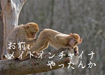 a0144011_1273637.jpg