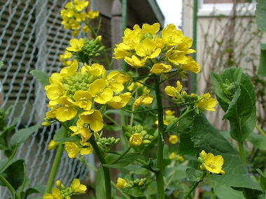 c0212214_23261239.jpg