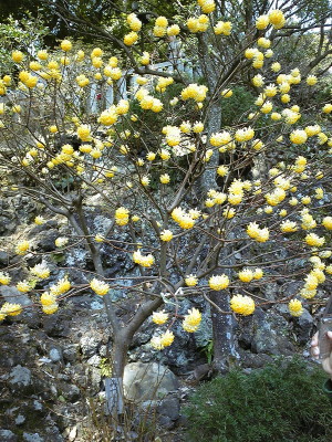 f0000425_934966.jpg
