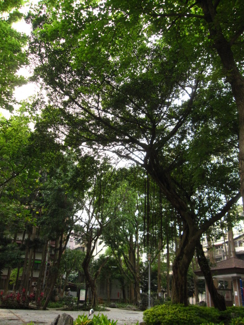 c0214628_10303896.jpg
