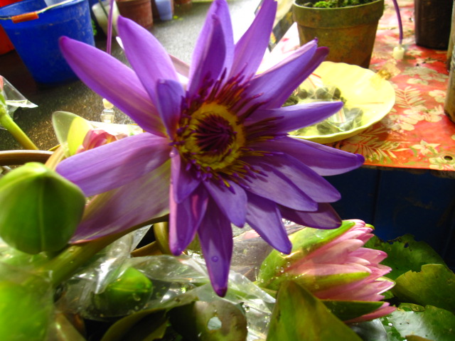 c0214628_10463118.jpg