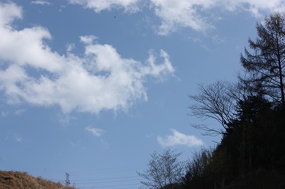 e0181928_2055522.jpg
