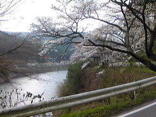 d0014229_20392974.jpg