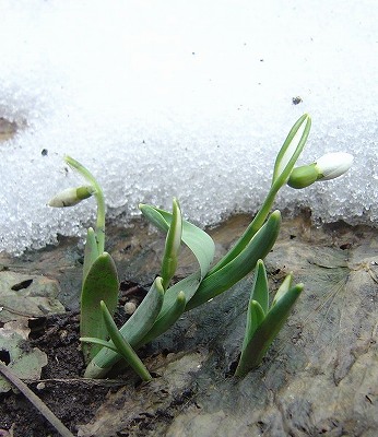 f0205733_1811412.jpg