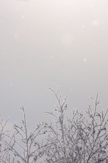 d0069235_0102011.jpg