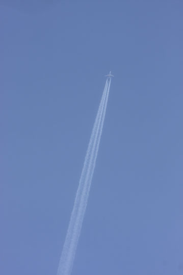 d0069235_04897.jpg