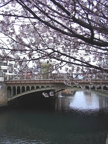 b0165444_911967.jpg